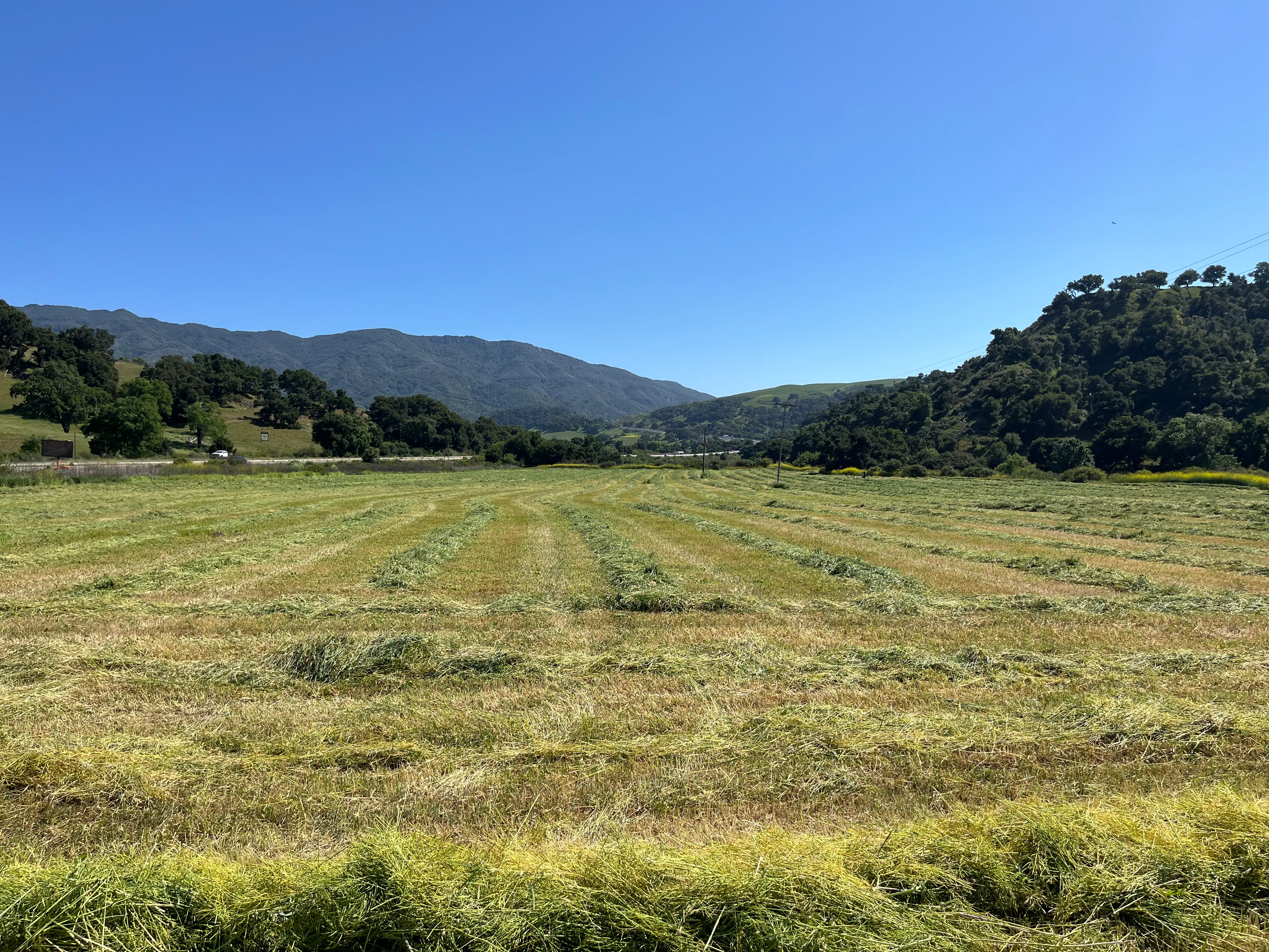 Well-maintained ranch field in Gaviota